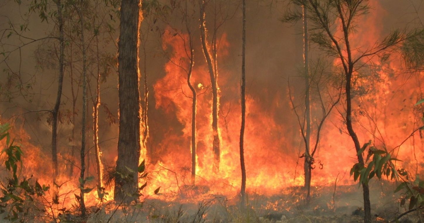 Bushfires in Queensland. Credits: 80 trading 24/Wikipedia